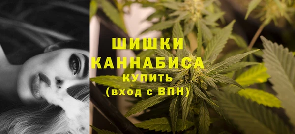 ПСИЛОЦИБИНОВЫЕ ГРИБЫ Новокубанск