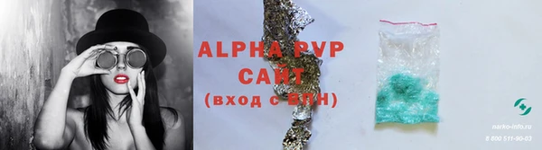 ПСИЛОЦИБИНОВЫЕ ГРИБЫ Новокубанск