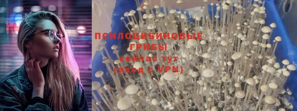 MDMA Premium VHQ Новозыбков