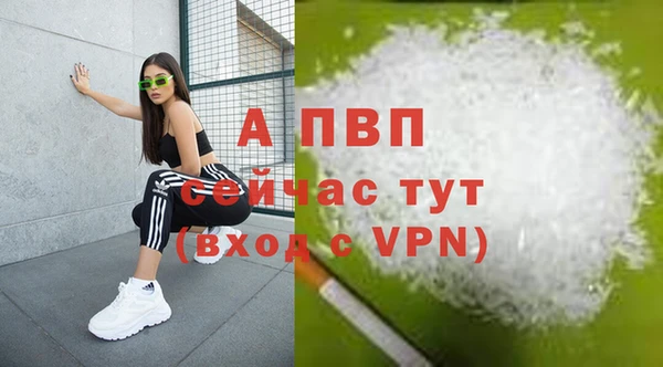 ПСИЛОЦИБИНОВЫЕ ГРИБЫ Новокубанск